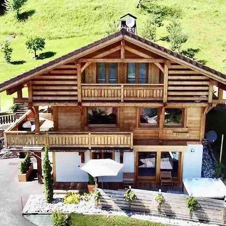 Androsace Appartement Dans Chalet Bois Avec Jacuzzi Privatif Terrasse Et Vue Montagne Les Villards-sur-Thônes 外观 照片