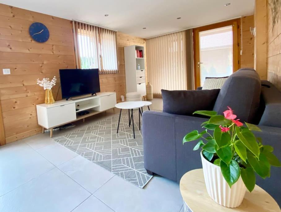 Androsace Appartement Dans Chalet Bois Avec Jacuzzi Privatif Terrasse Et Vue Montagne Les Villards-sur-Thônes 外观 照片