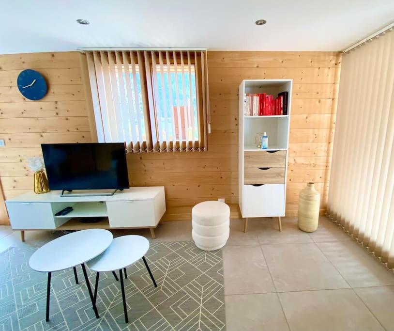 Androsace Appartement Dans Chalet Bois Avec Jacuzzi Privatif Terrasse Et Vue Montagne Les Villards-sur-Thônes 外观 照片