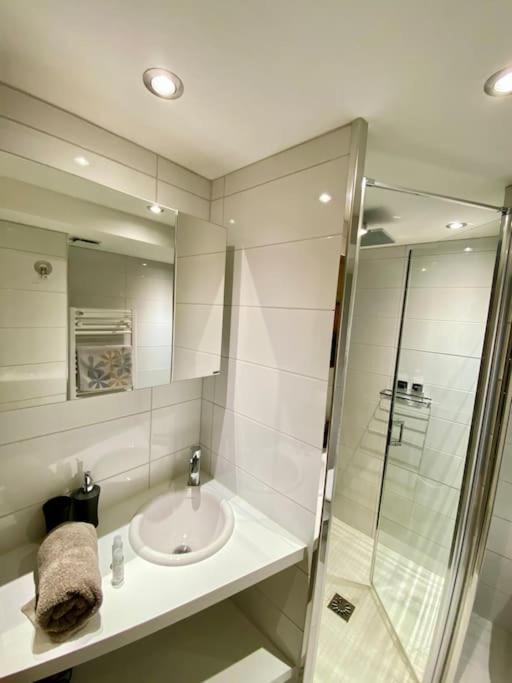 Androsace Appartement Dans Chalet Bois Avec Jacuzzi Privatif Terrasse Et Vue Montagne Les Villards-sur-Thônes 外观 照片