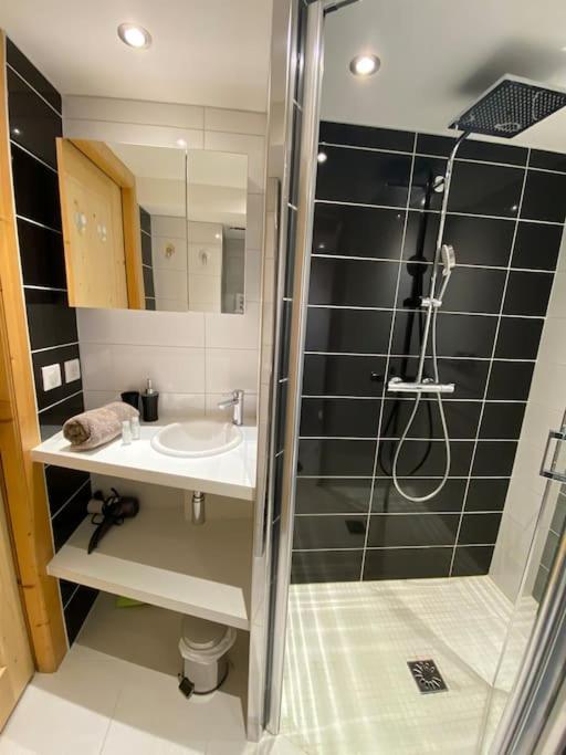 Androsace Appartement Dans Chalet Bois Avec Jacuzzi Privatif Terrasse Et Vue Montagne Les Villards-sur-Thônes 外观 照片